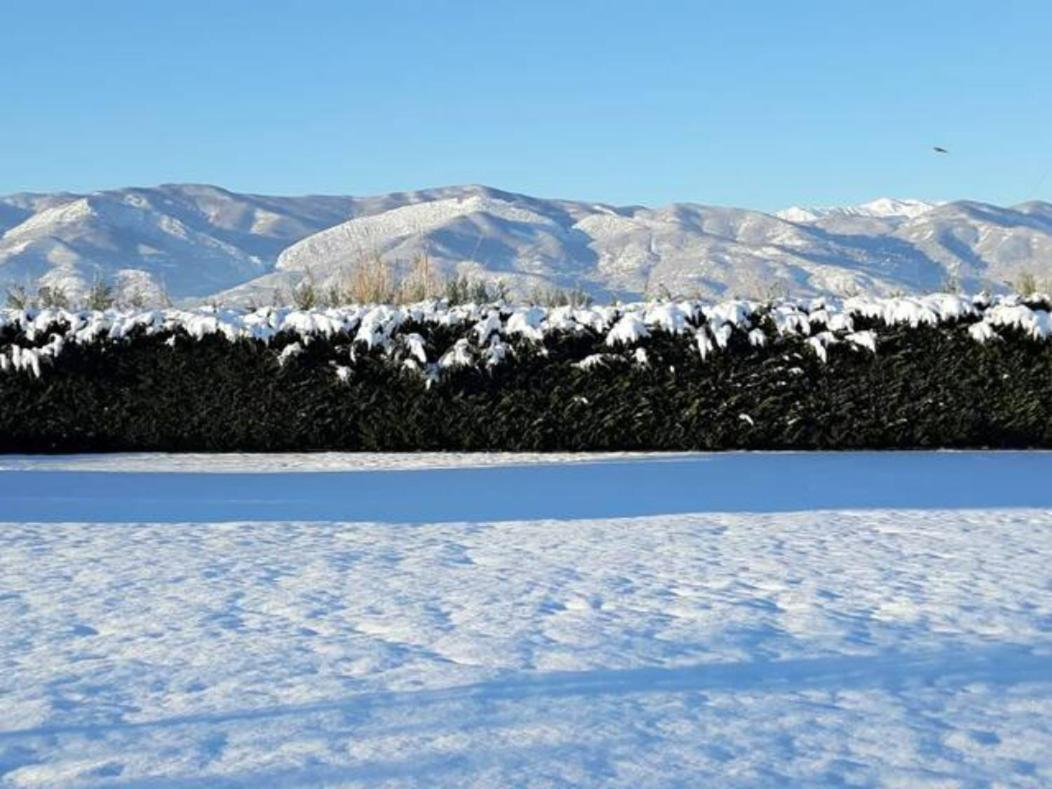 Galini Estate Apartment Karditsa
