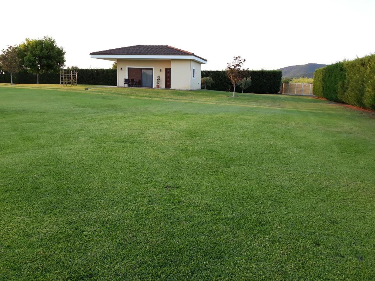 Galini Estate Apartment Karditsa